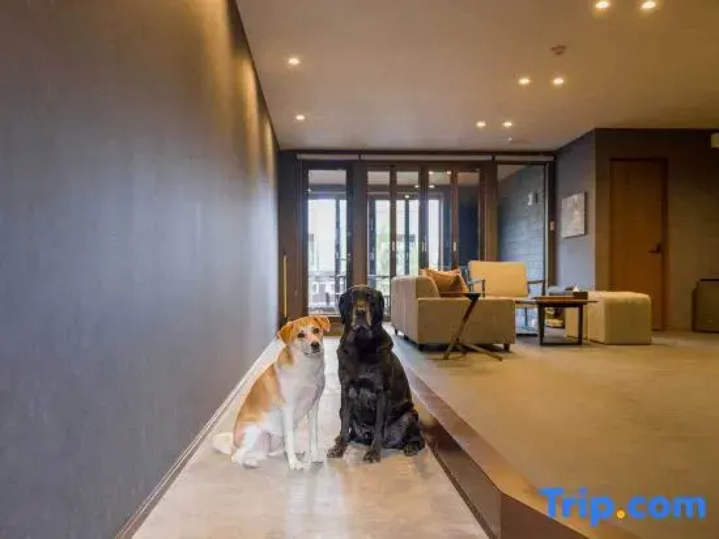 Rakuten STAY VILLA Nasu