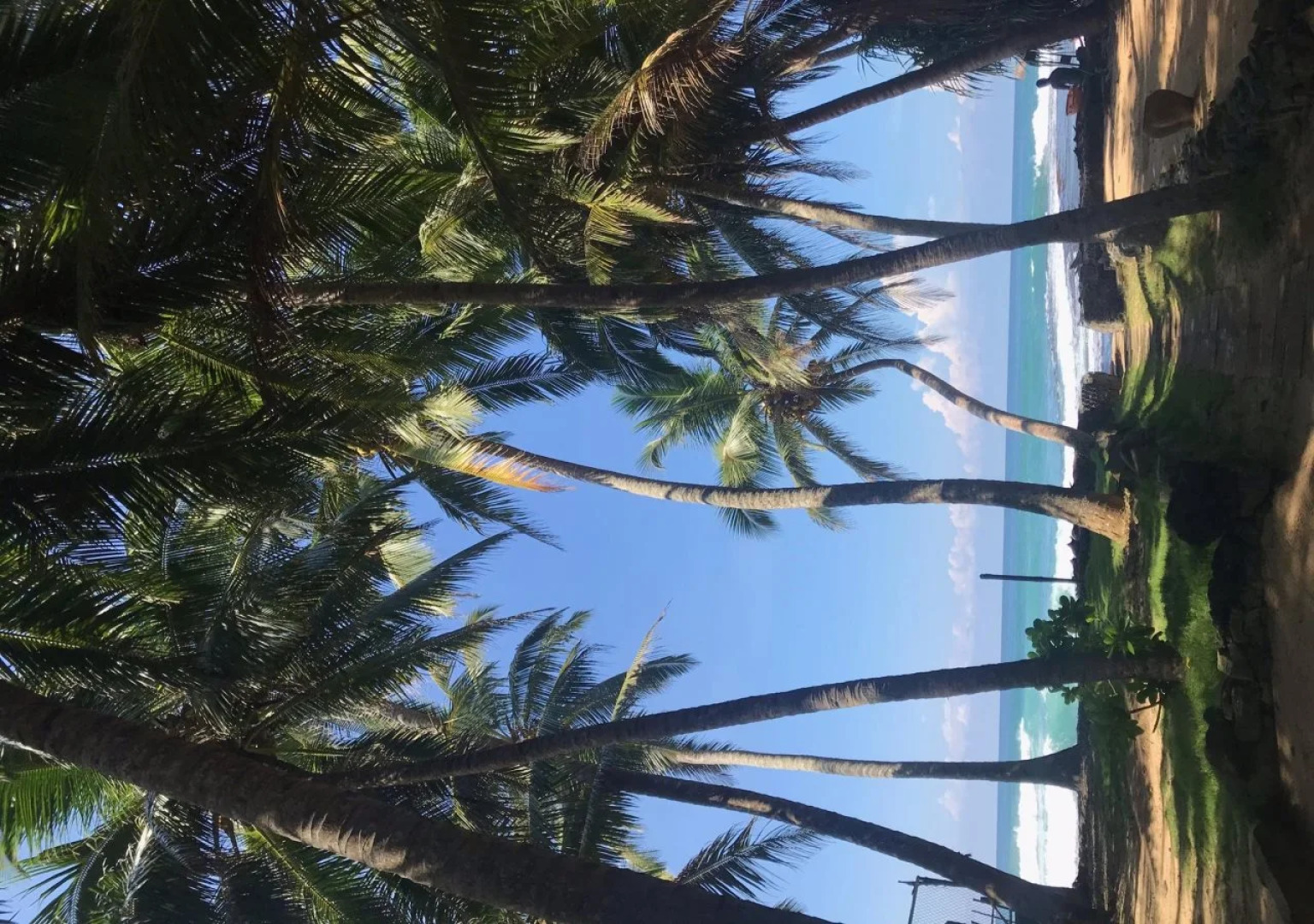 Curry Bowl Restaurant & Turtles Rest