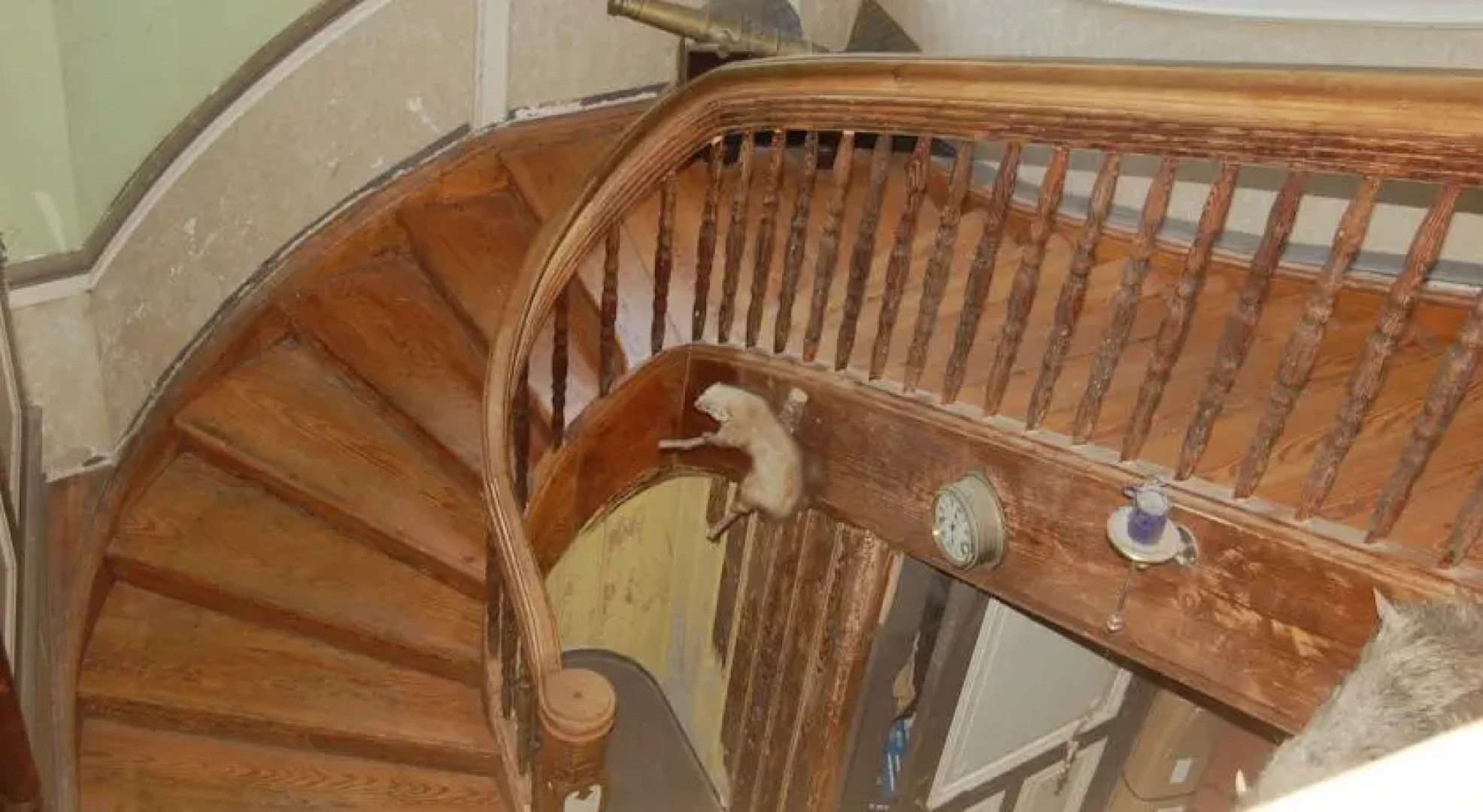 Pension Gutshaus Seegebiet Mansfelder Land