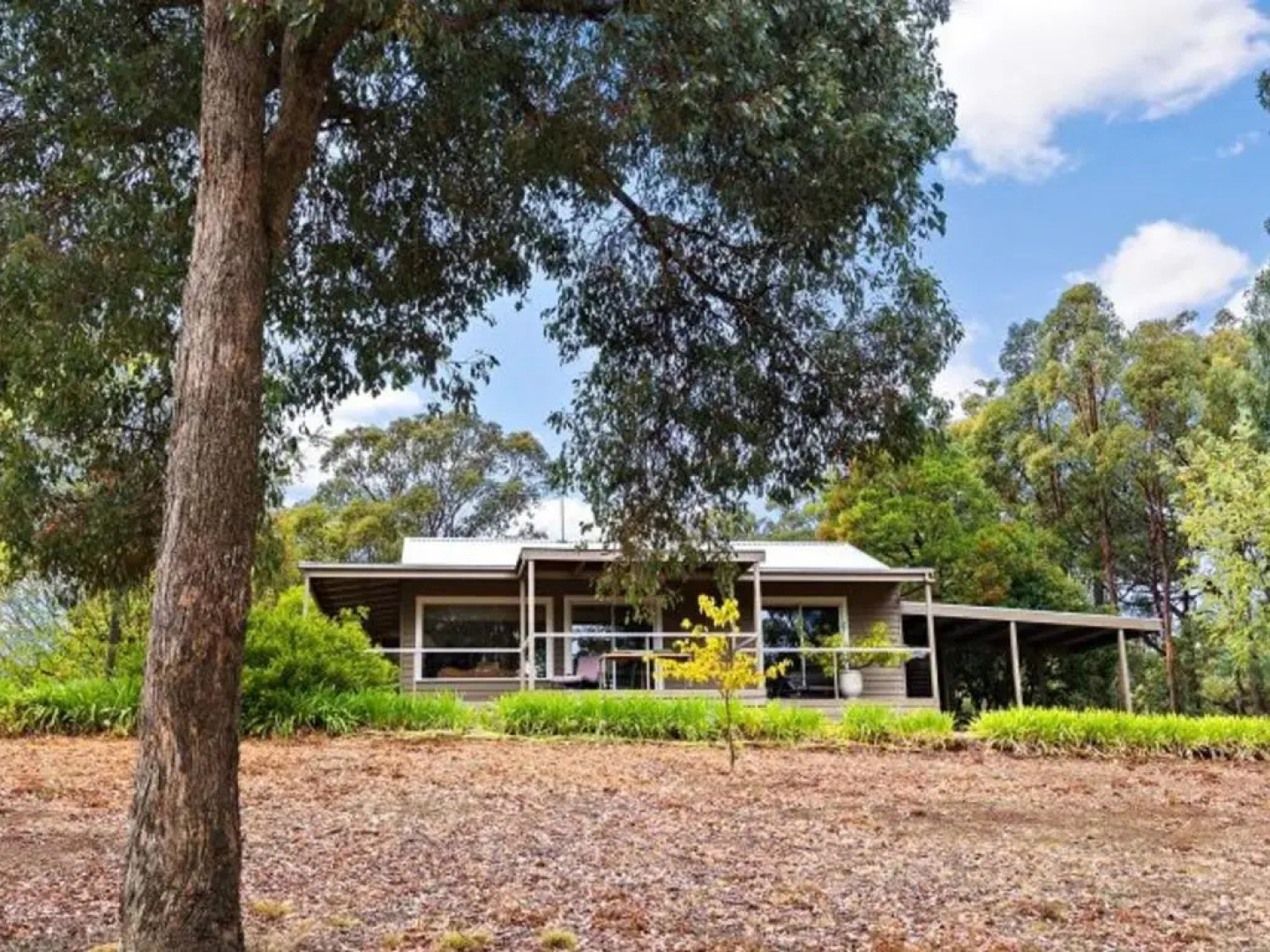 Margies on Mt Franklin