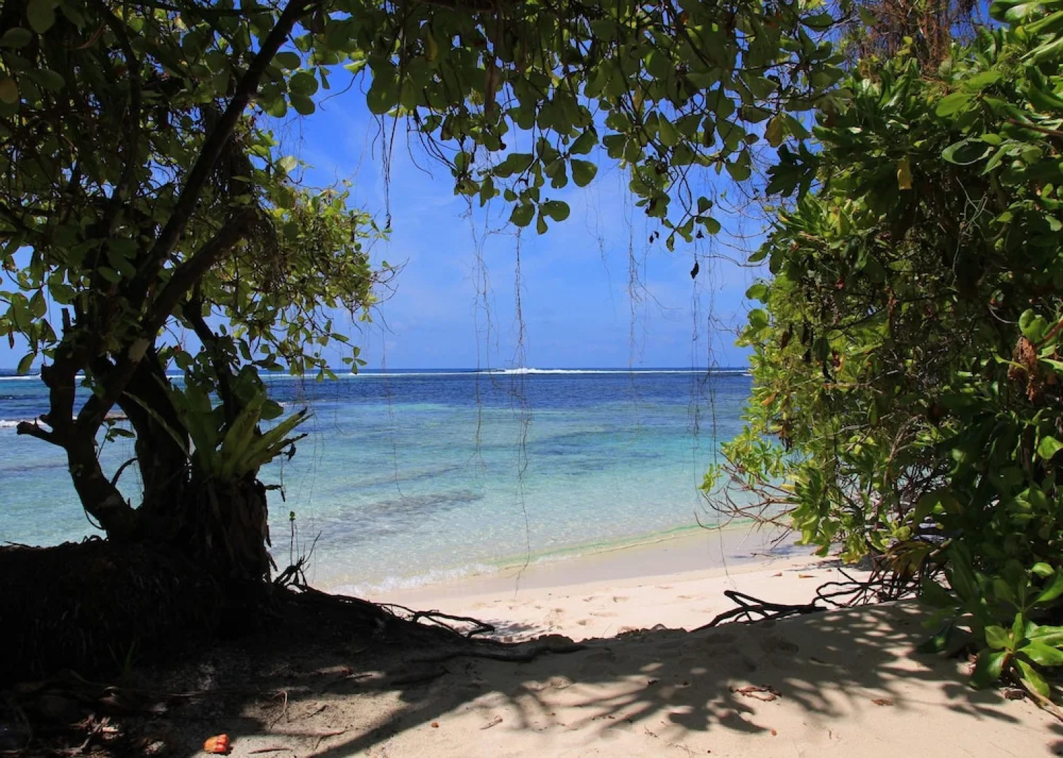 Serene Blue Bowls Surf Inn