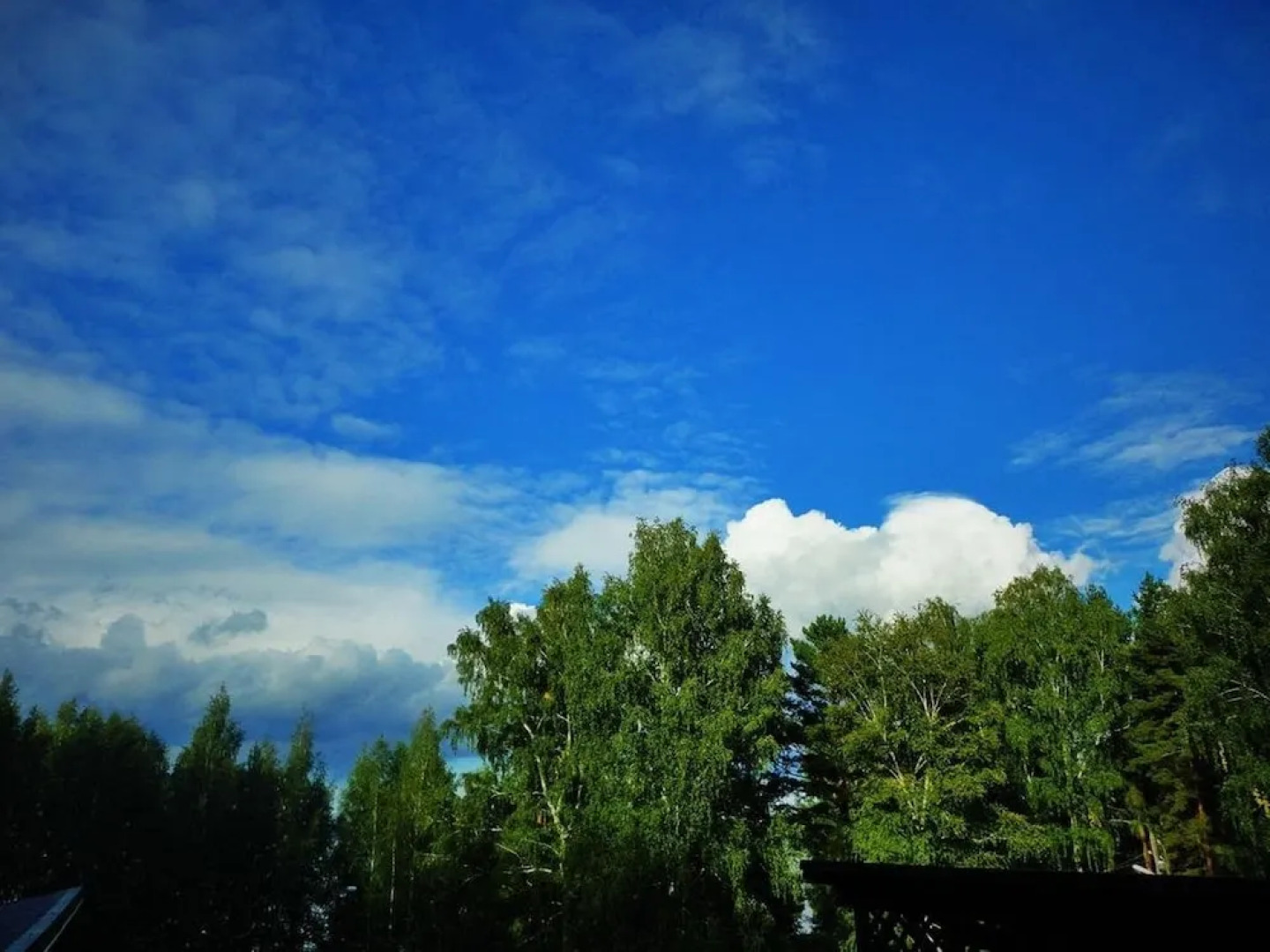 База отдыха «Волна»