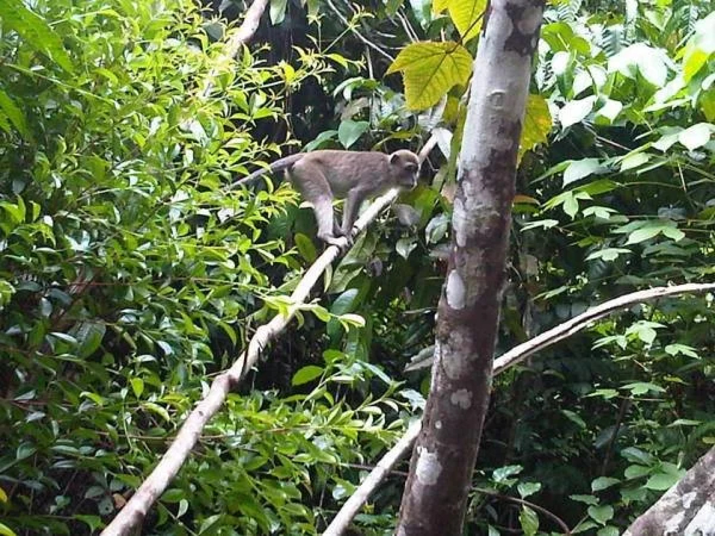 The Secret Sanctuary Boutique Cottage