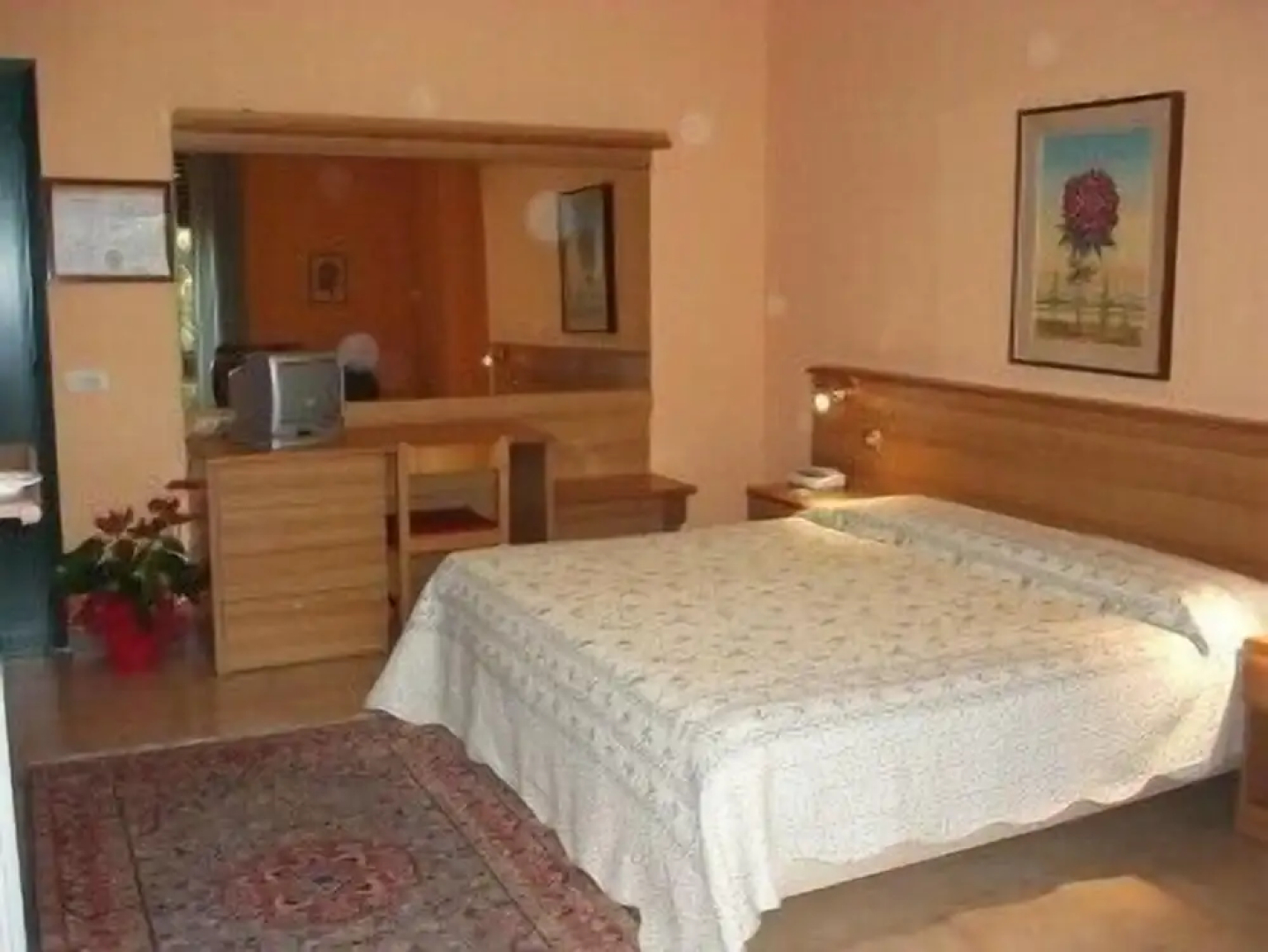 Hotel Salus