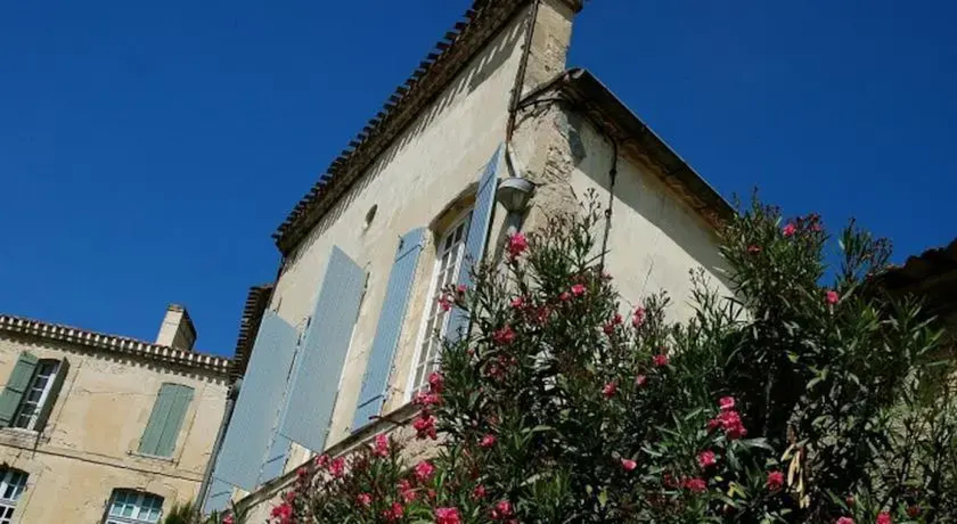 Les Hortensias du Rempart