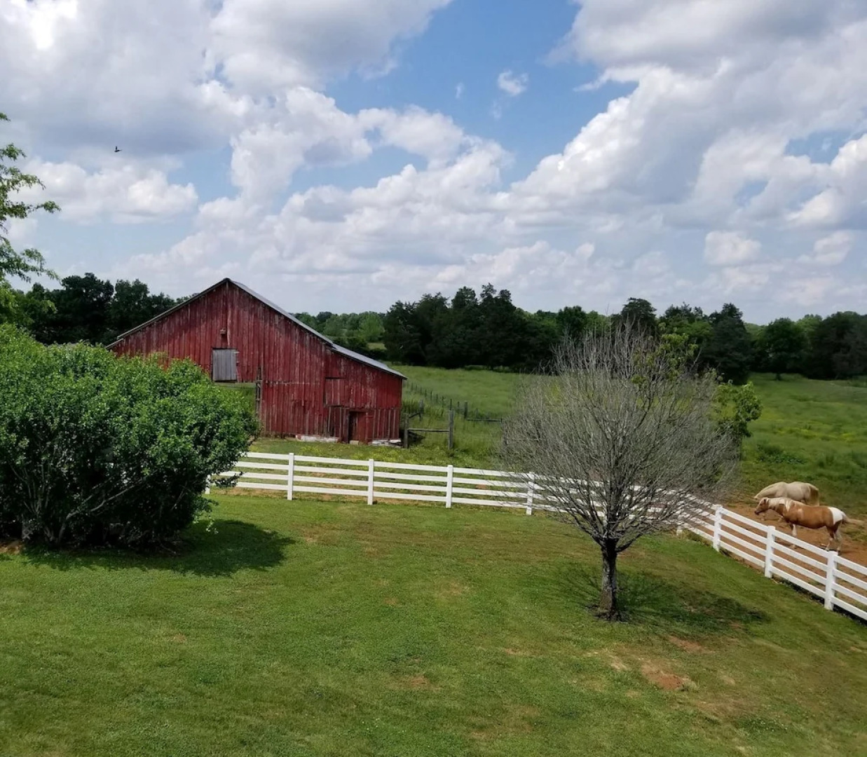 Magnolia Plantation Bed and Breakfast