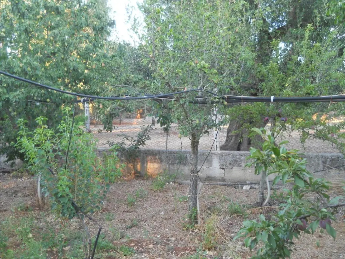 Villa Conte in Salento