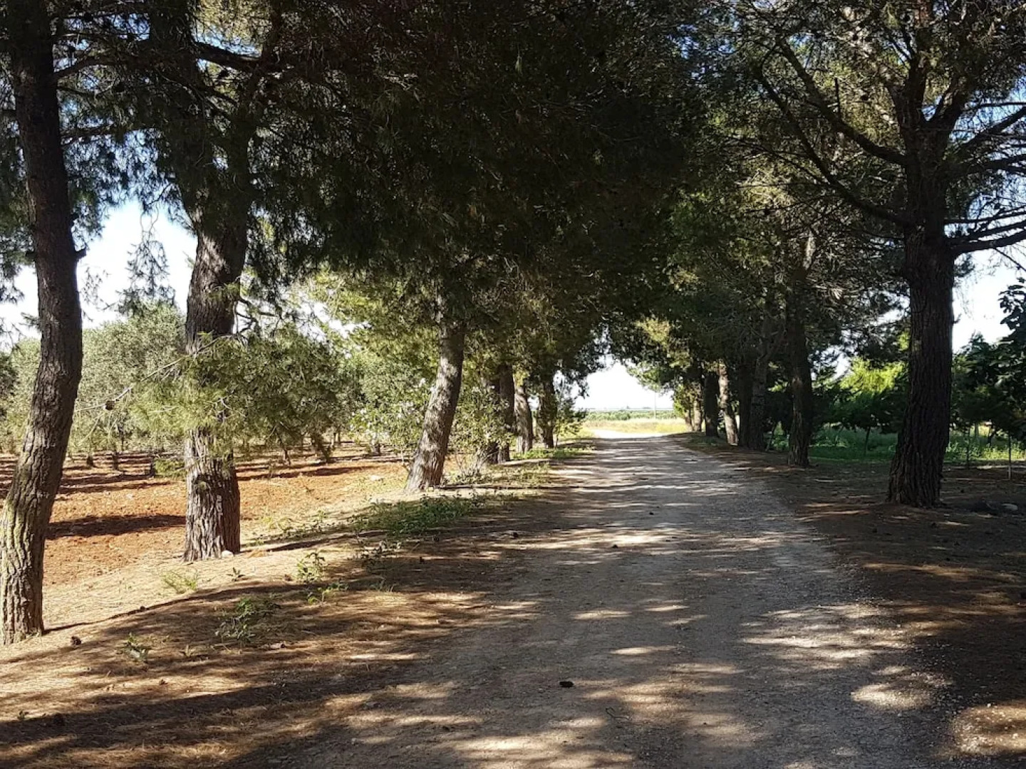 Masseria San Paolo