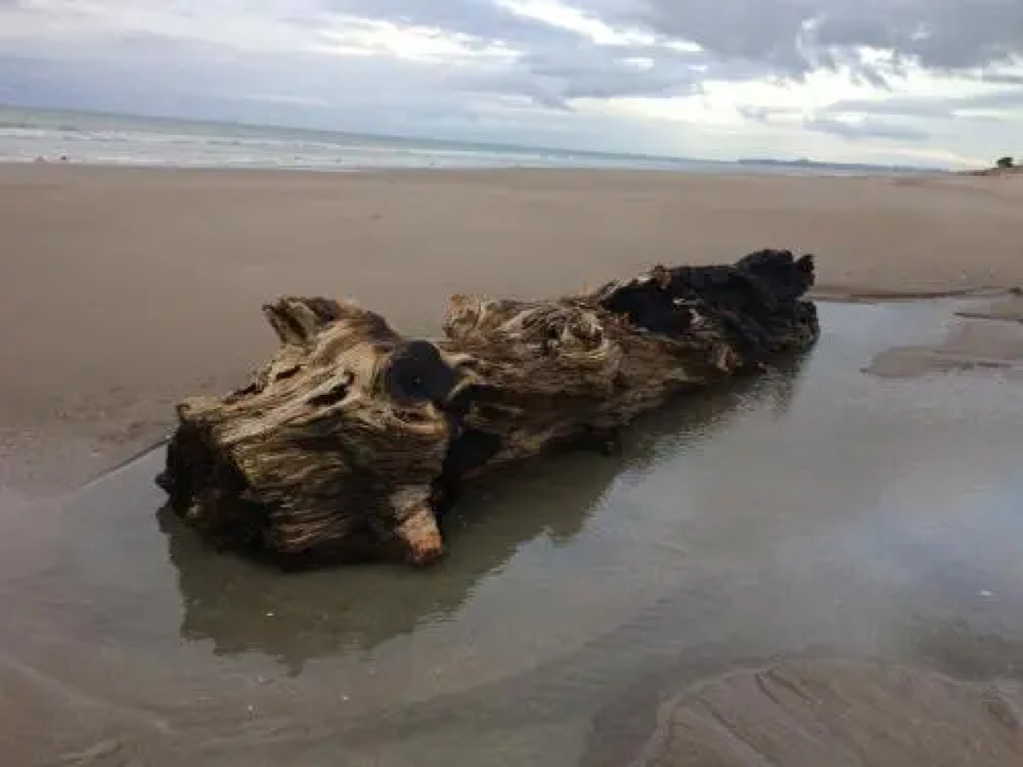 Salt and Sand Bed & Breakfast