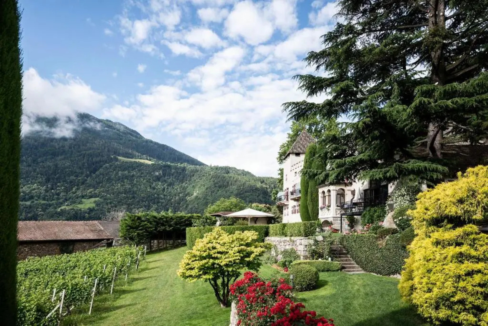 SCHLOSS PLARS Wine & Suites