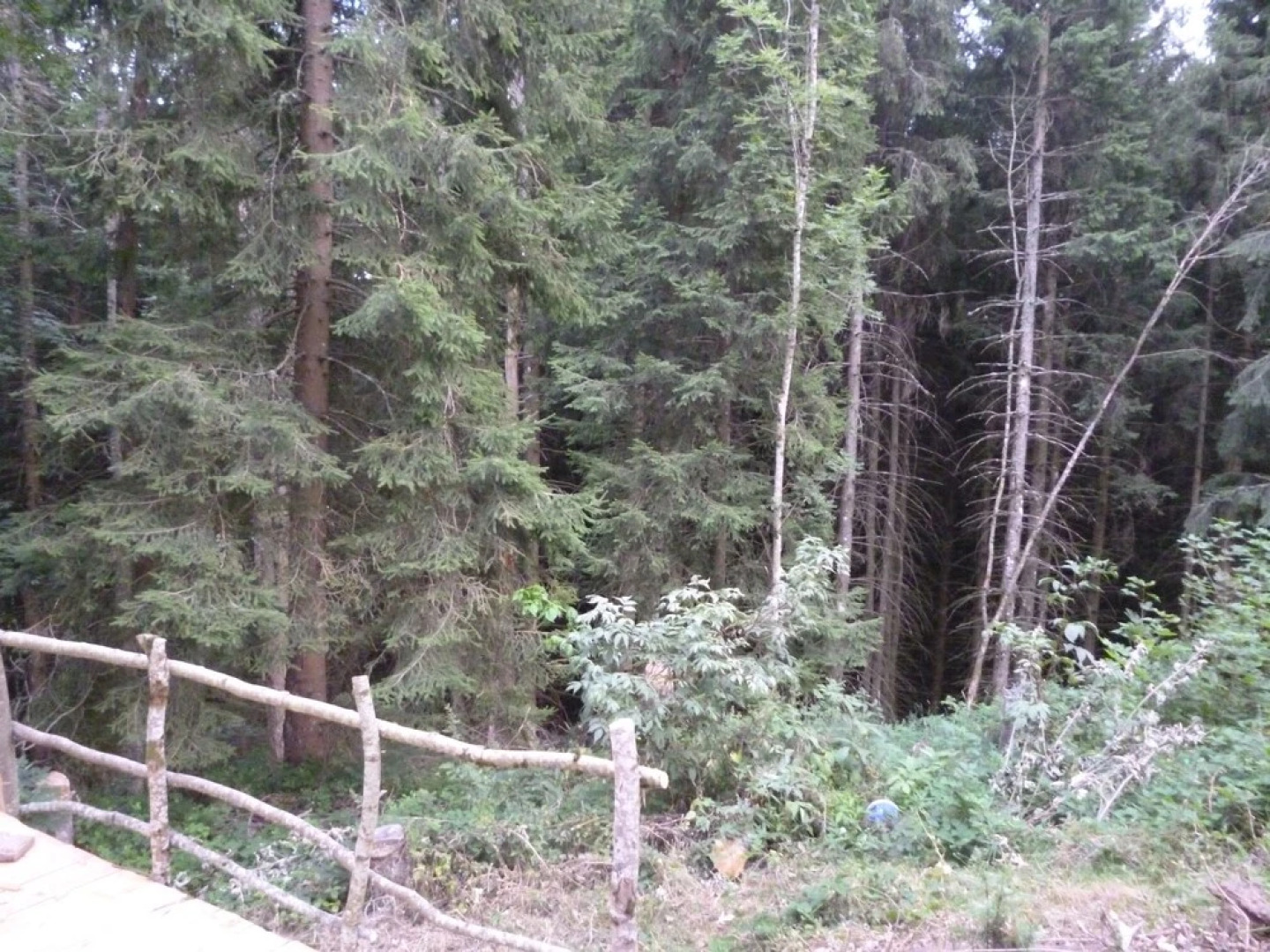 Yourte Les Bruyères de Gaschon