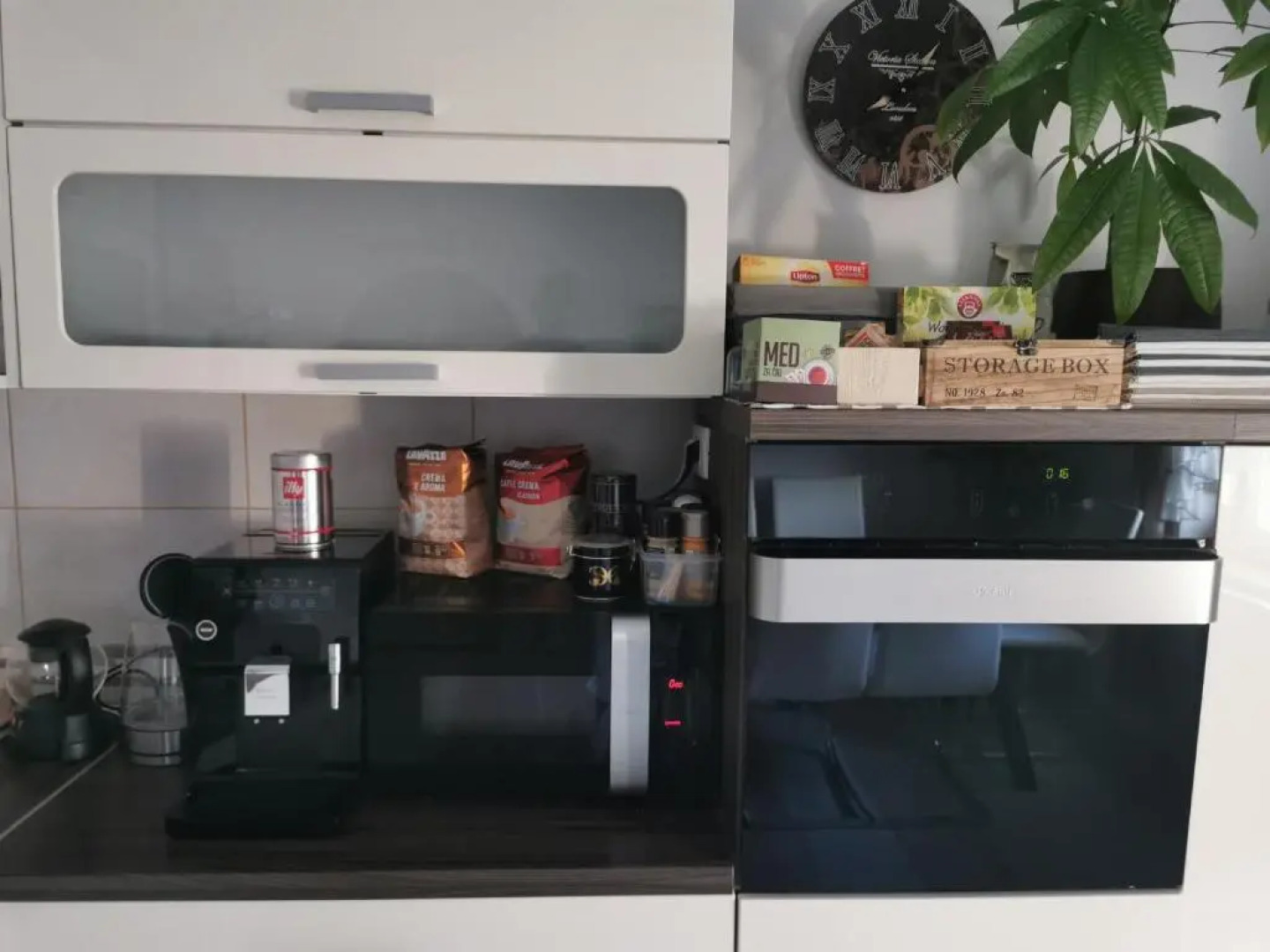 Apartment Andy