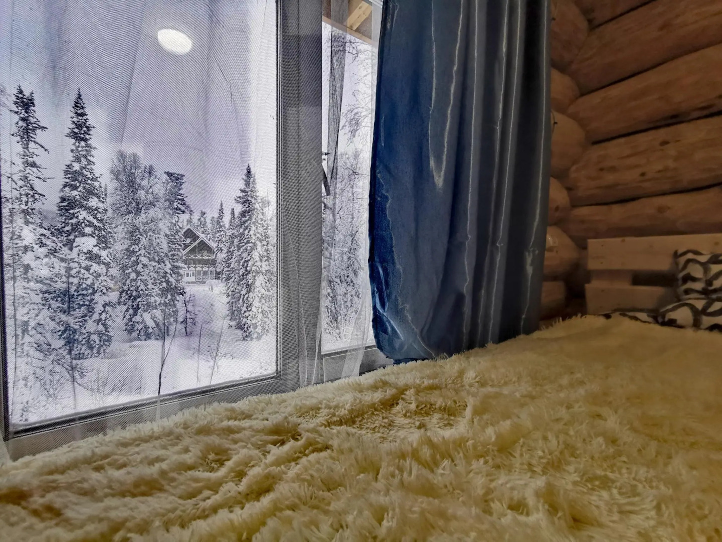 Сила Сибири