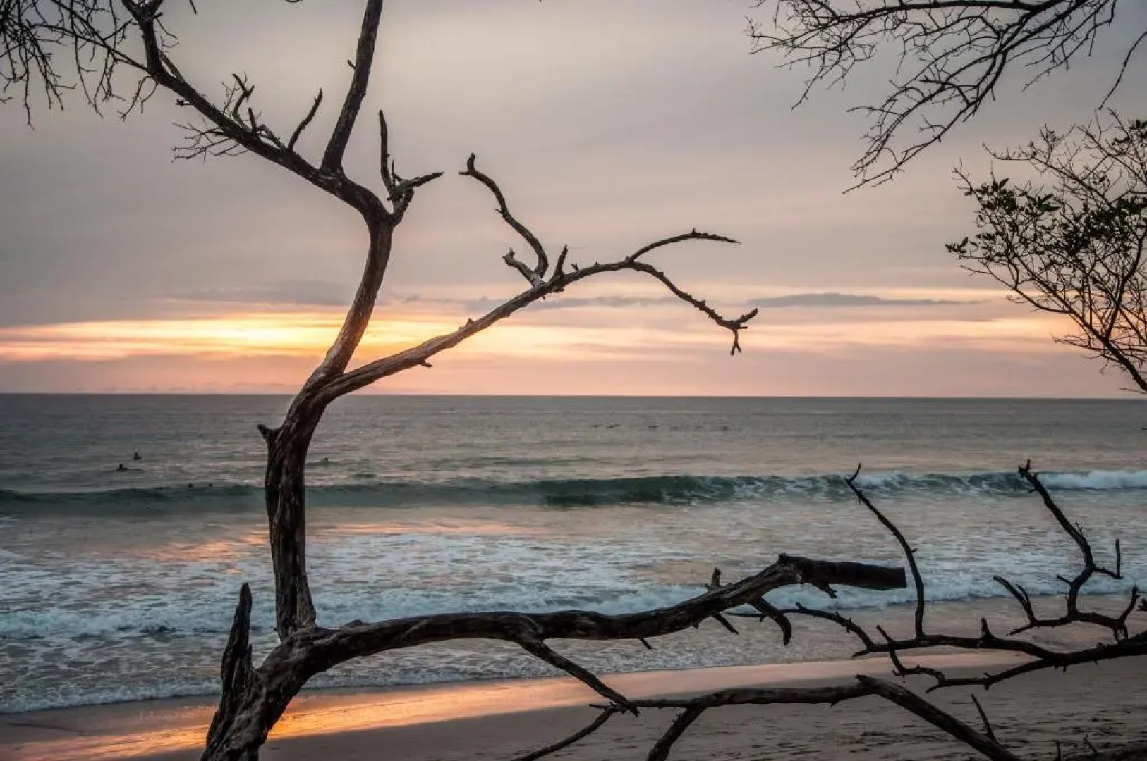 Maoritsio Garden studios