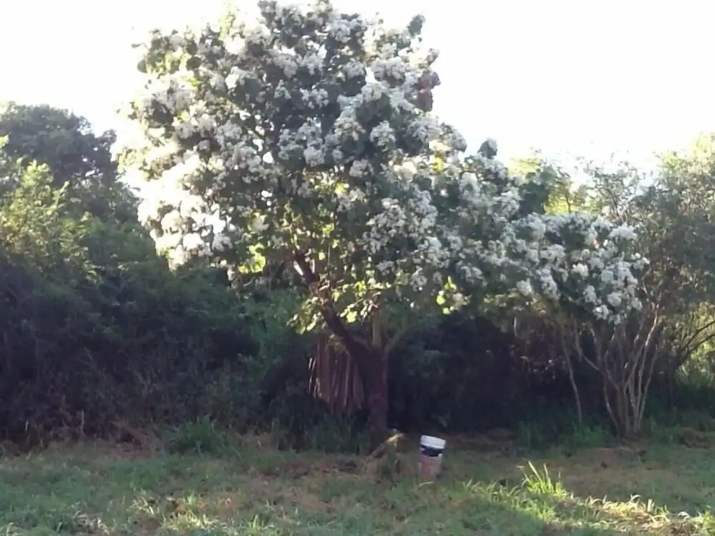 Ngerengere River Eco camp