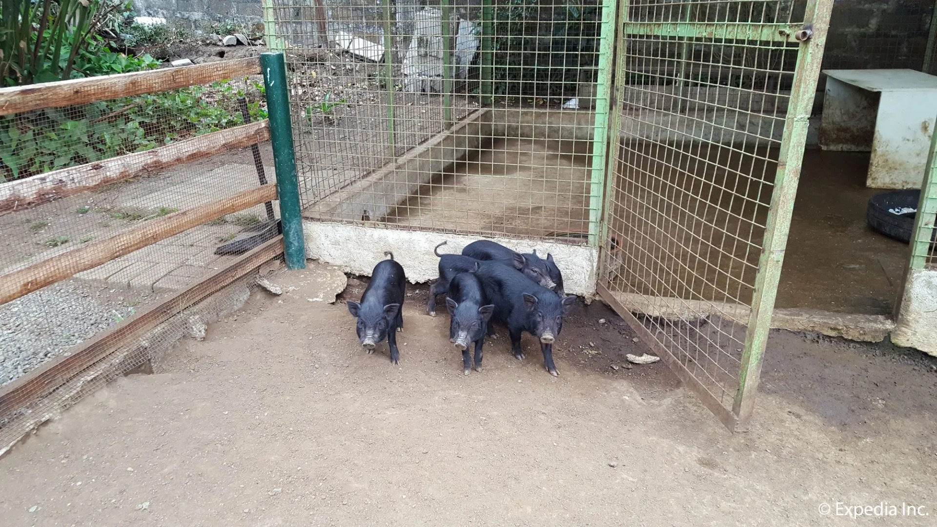 Hotel Kimberly Tagaytay