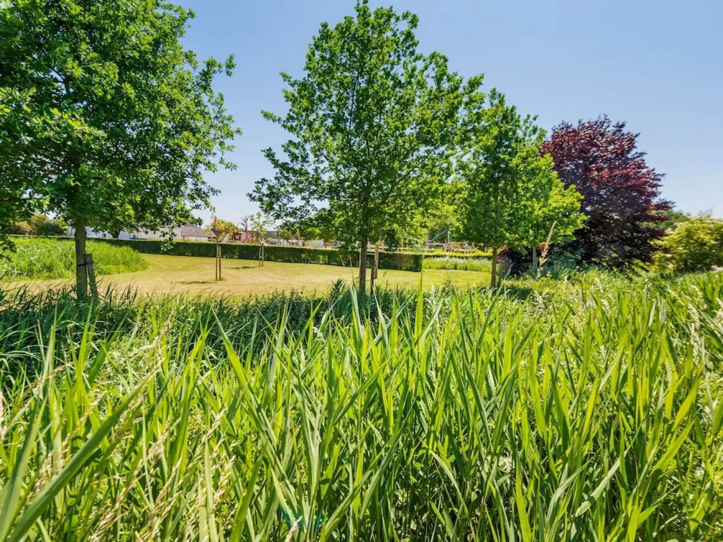 Cozy Apartment in the Kingdom of Geetbets