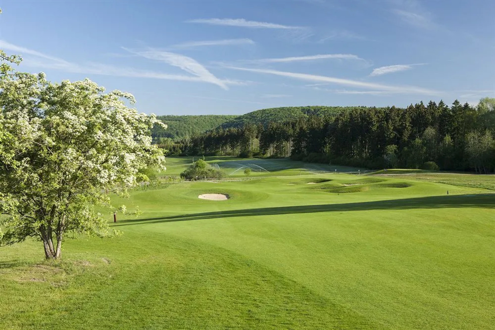 Lindner Spa & Golf Hotel Weimarer Land