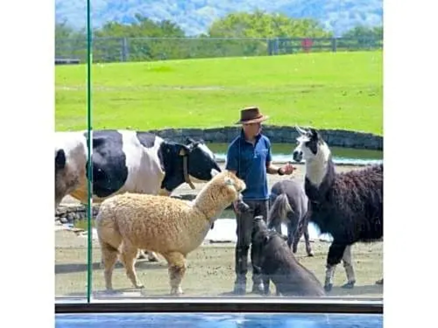 Papurika hotel desu - Vacation STAY 27548v