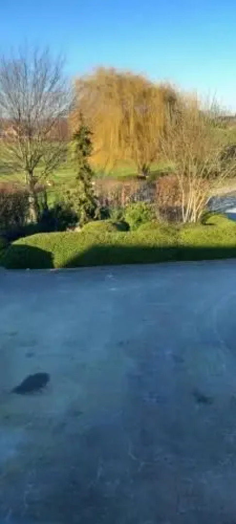 Wenceslas Cobergher Appartement