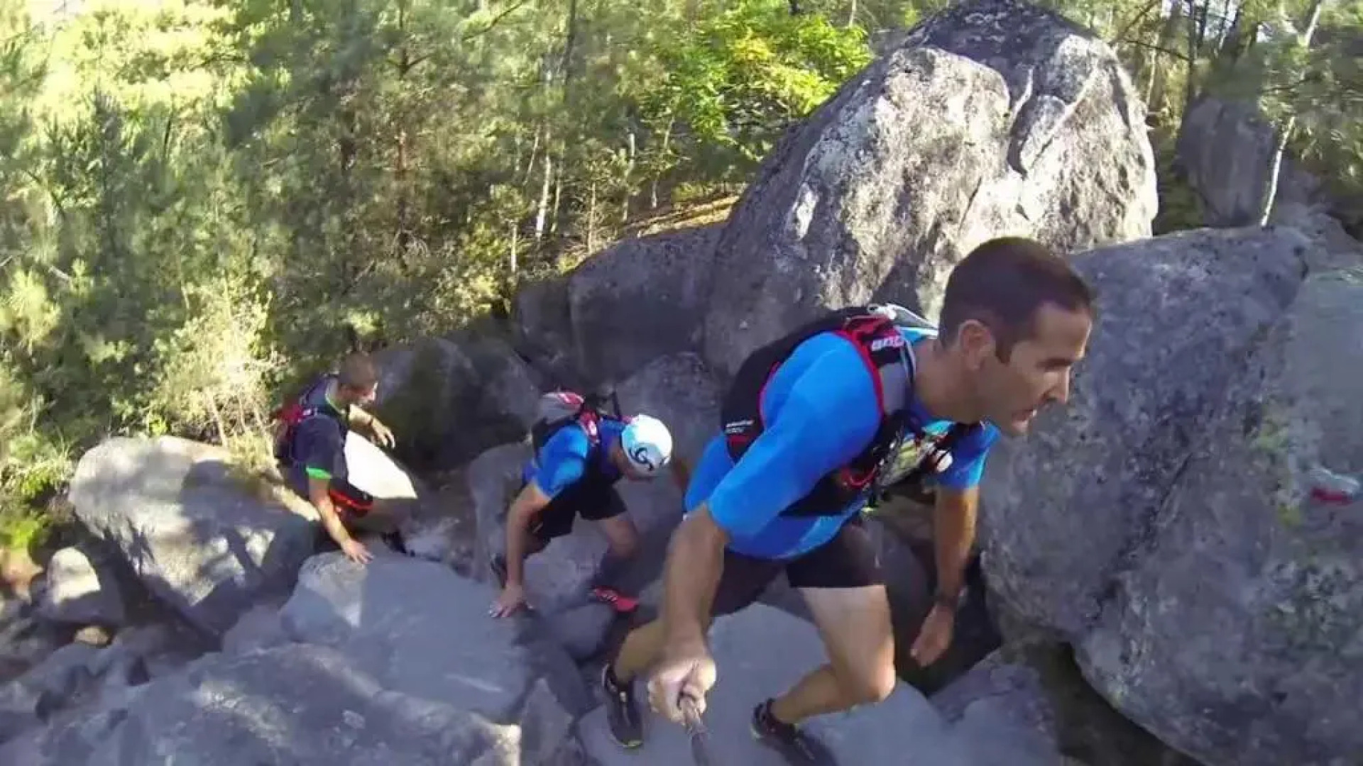 FORET DE FONTAINEBLEAU, chambre entrée privée.