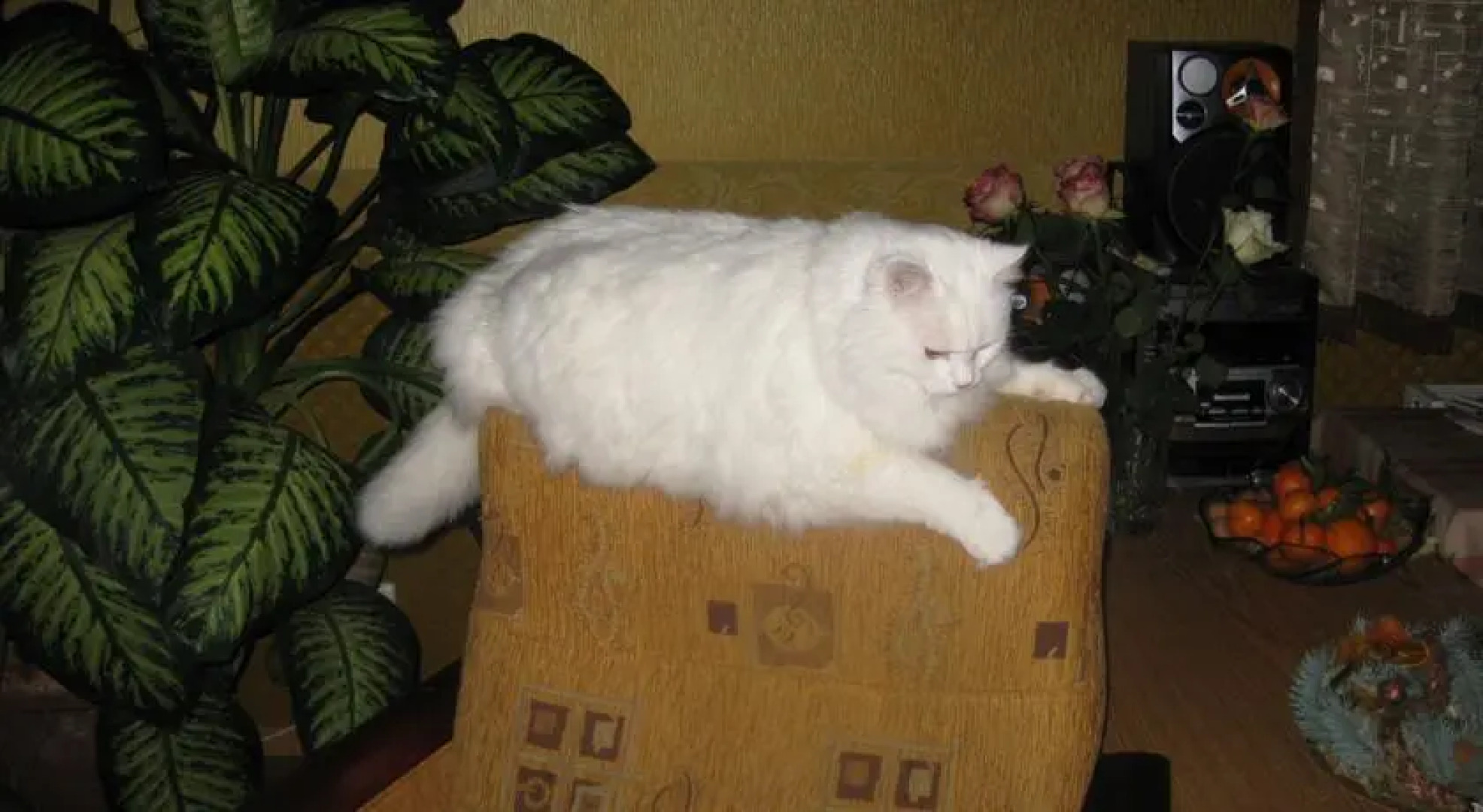 Holiday Home Ventspils