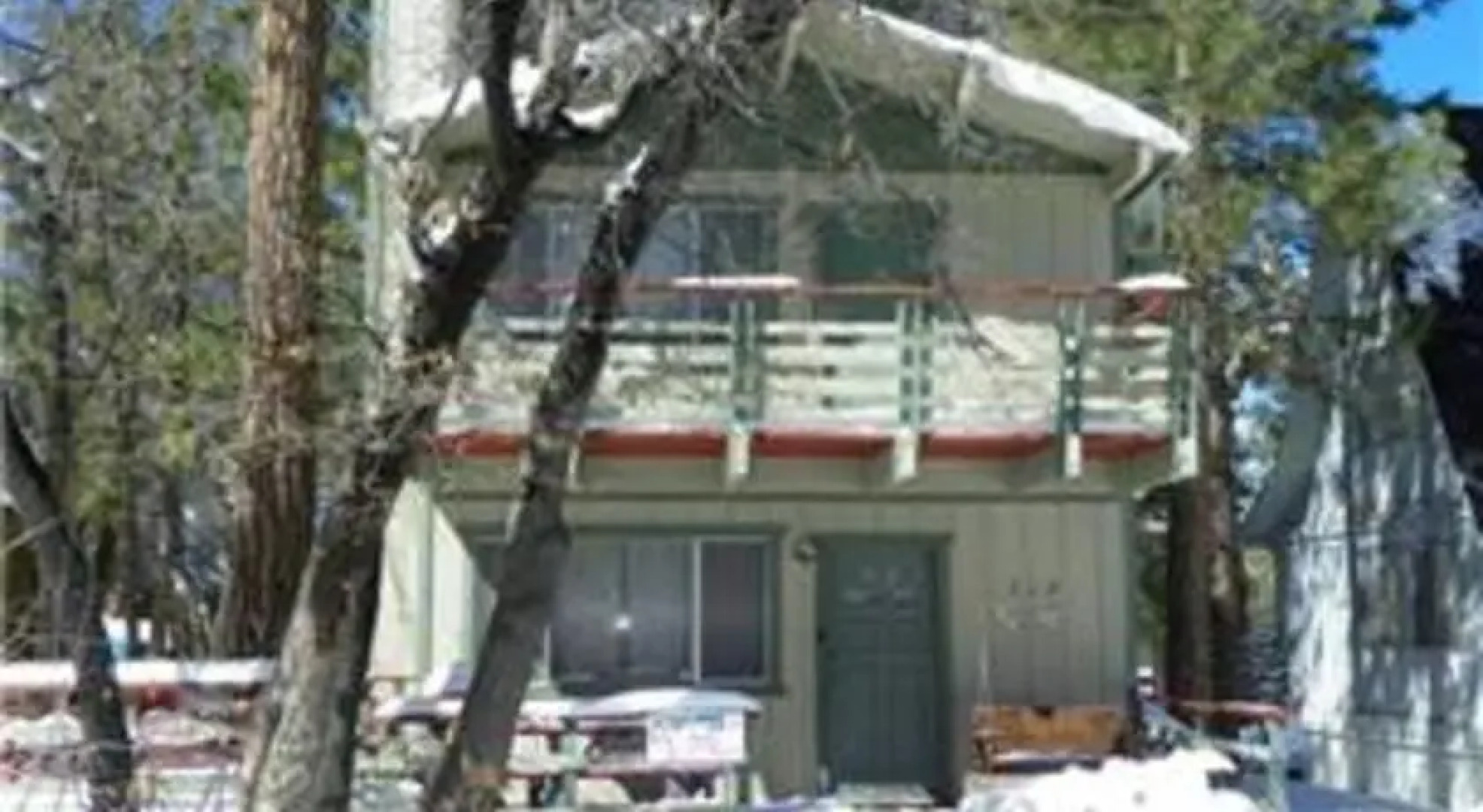 RedAwning Sugar Bear