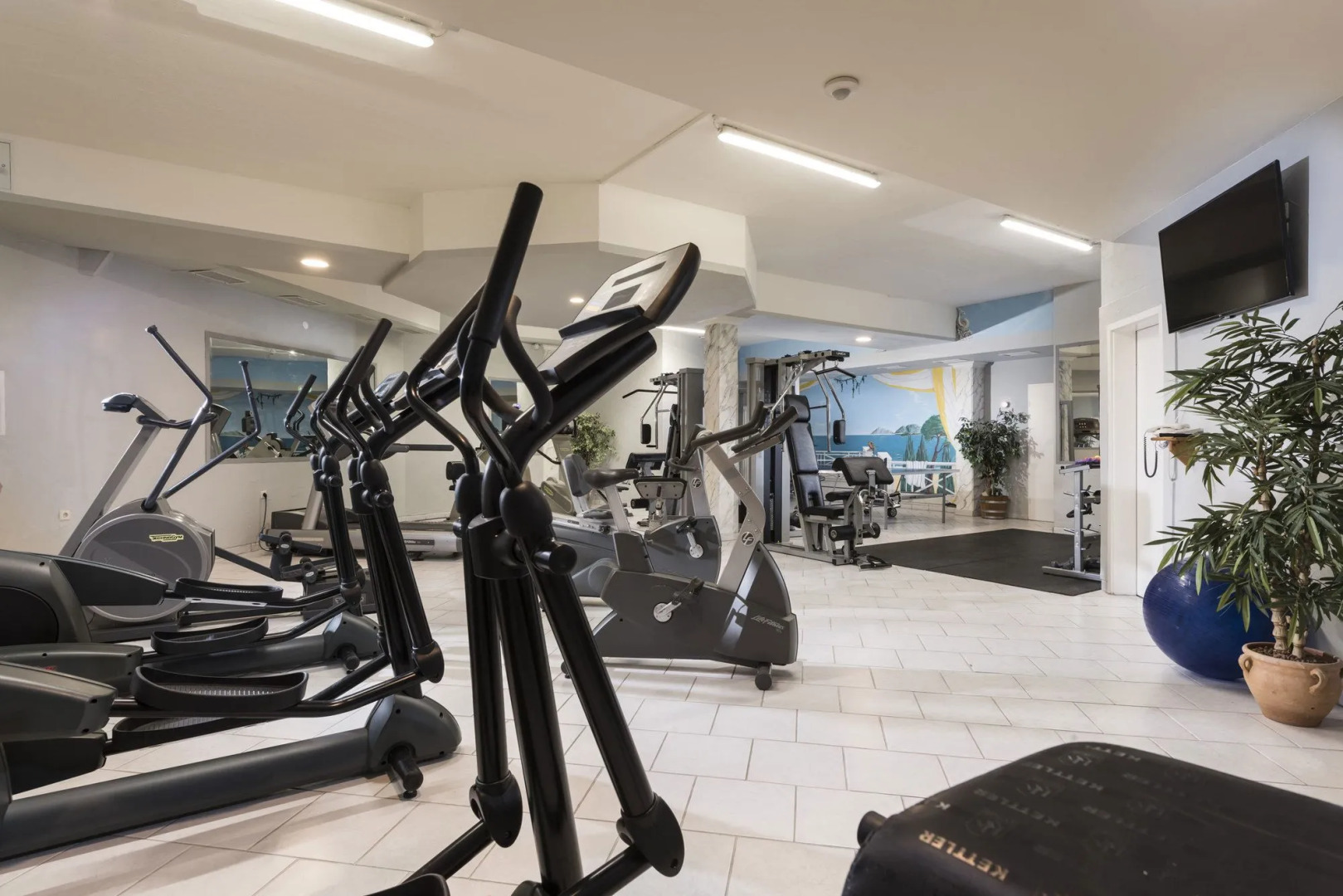 Maritim TitiseeHotel Titisee - Neustadt