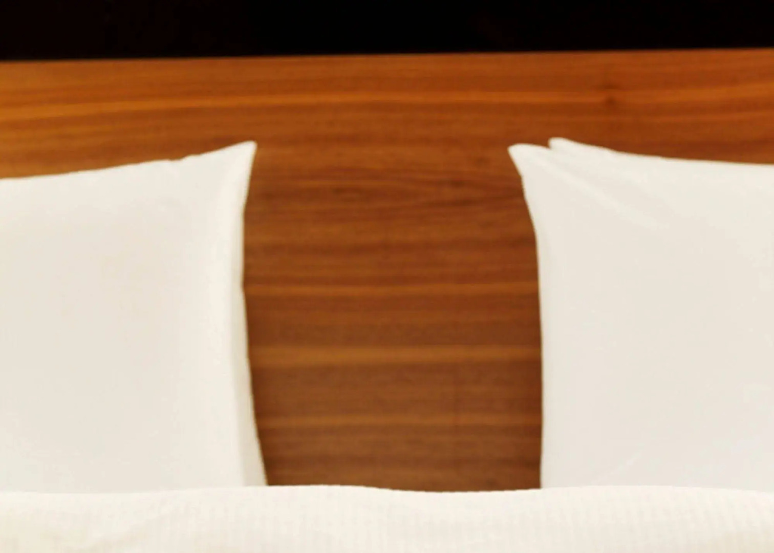 The Purple Tree Guest House