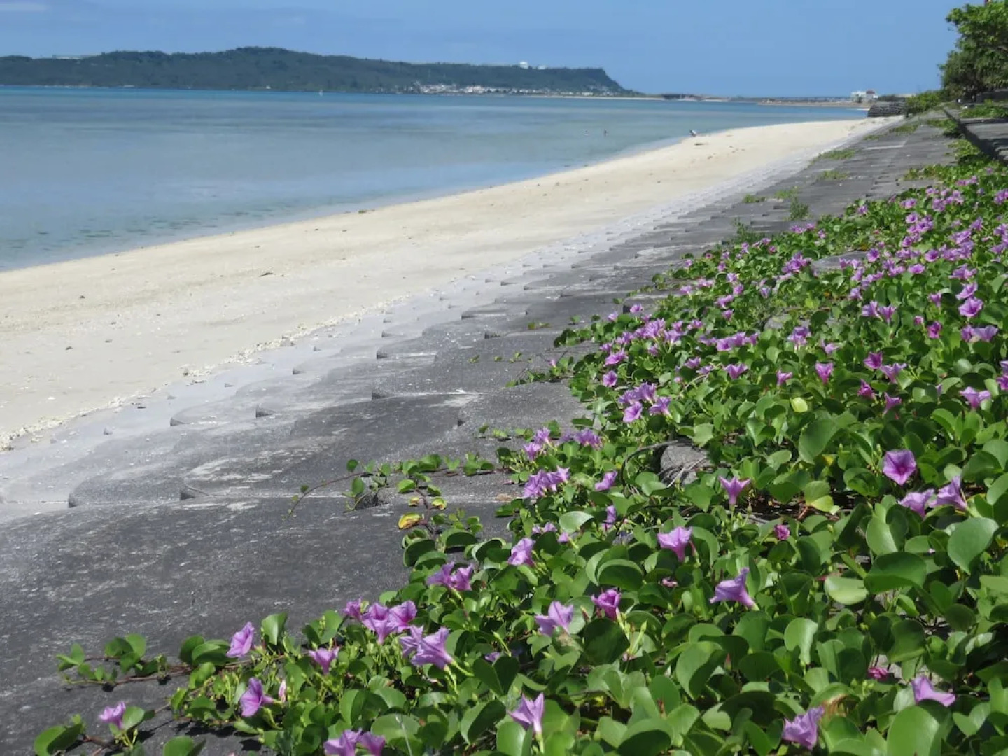 Okinawa Guest House Urizun