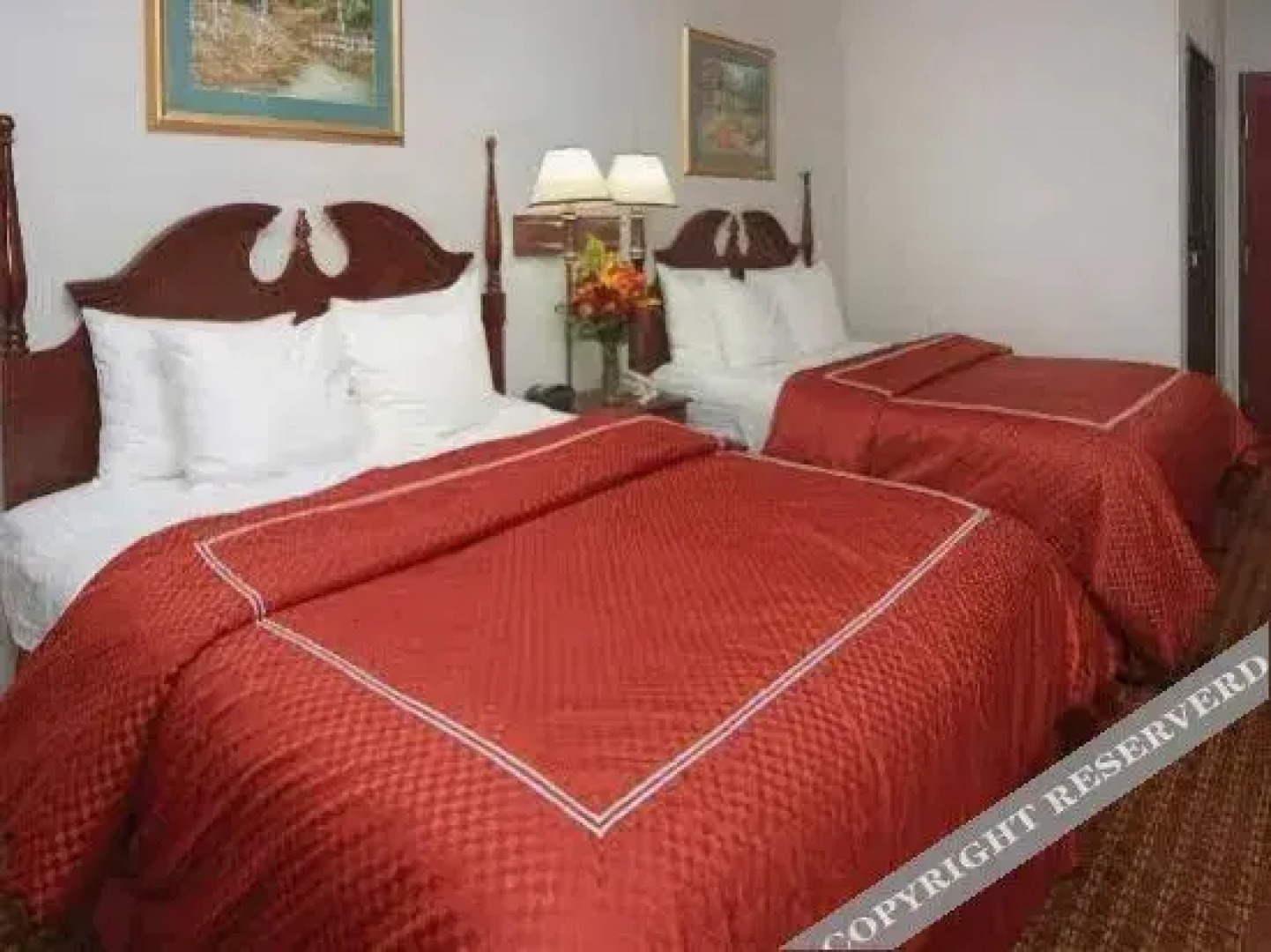 Comfort Suites at UNT