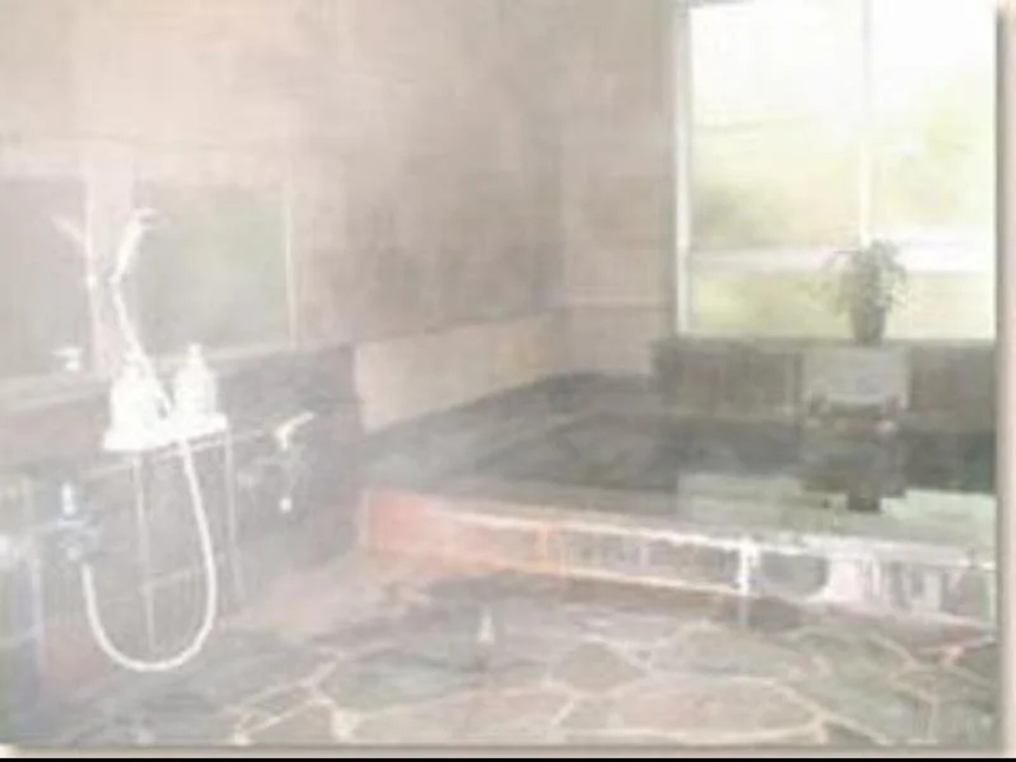 Hotel Weisser Hof Happei