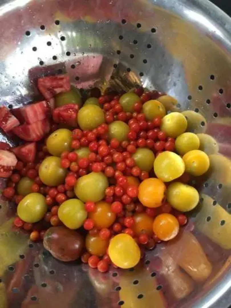 El Agua Casa De Huespedes