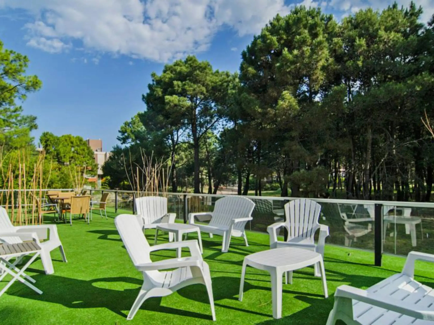 Suites Del Bosque