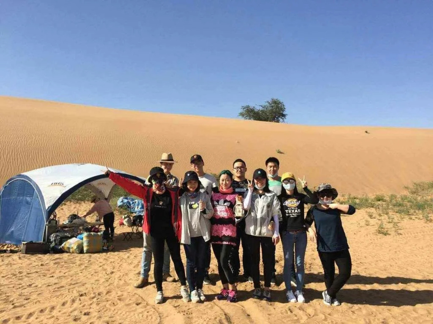 Nocturne Phoenix International Youth Hostel