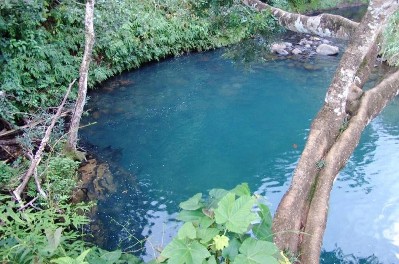 Apartment With one Bedroom in Goyave, With Wonderful Mountain View, Enclosed Garden and Wifi - 2 km From the Beach