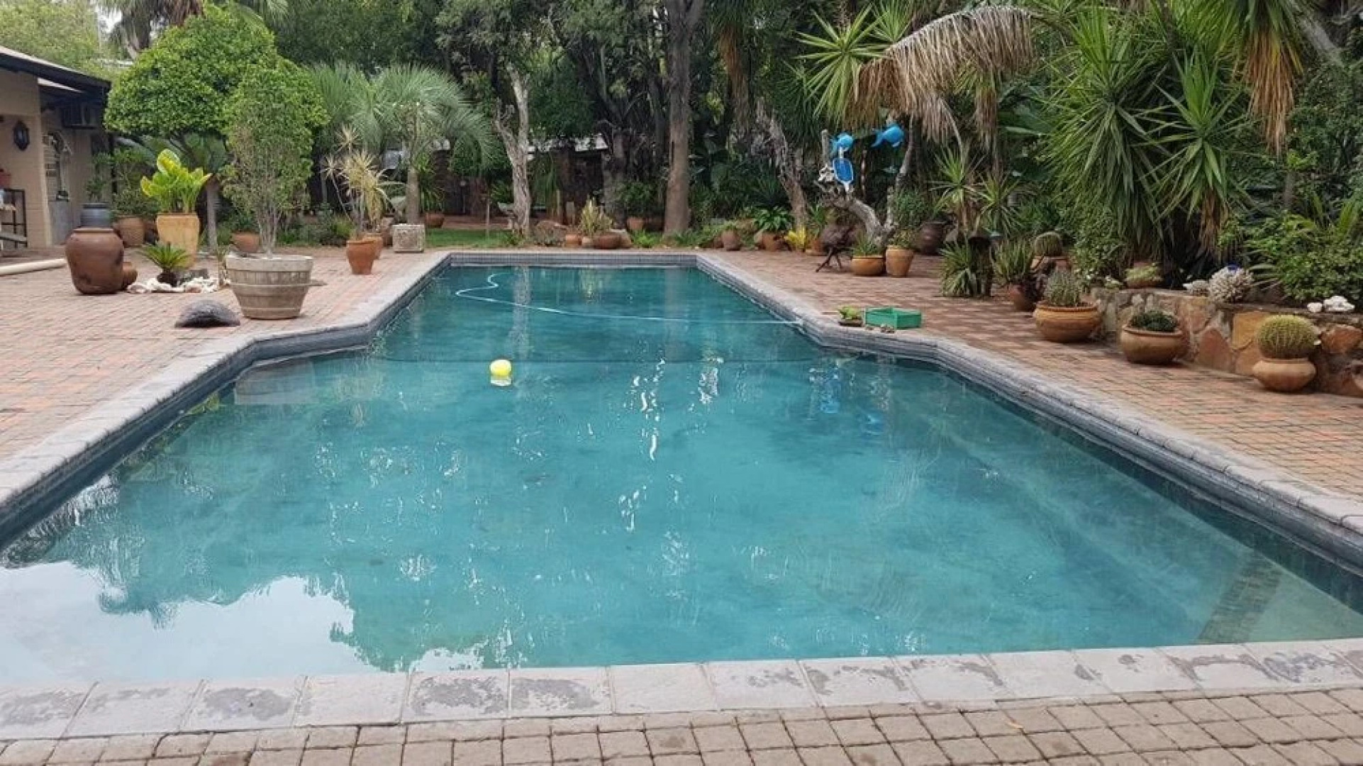 Green House BnB - 'Swiss German'