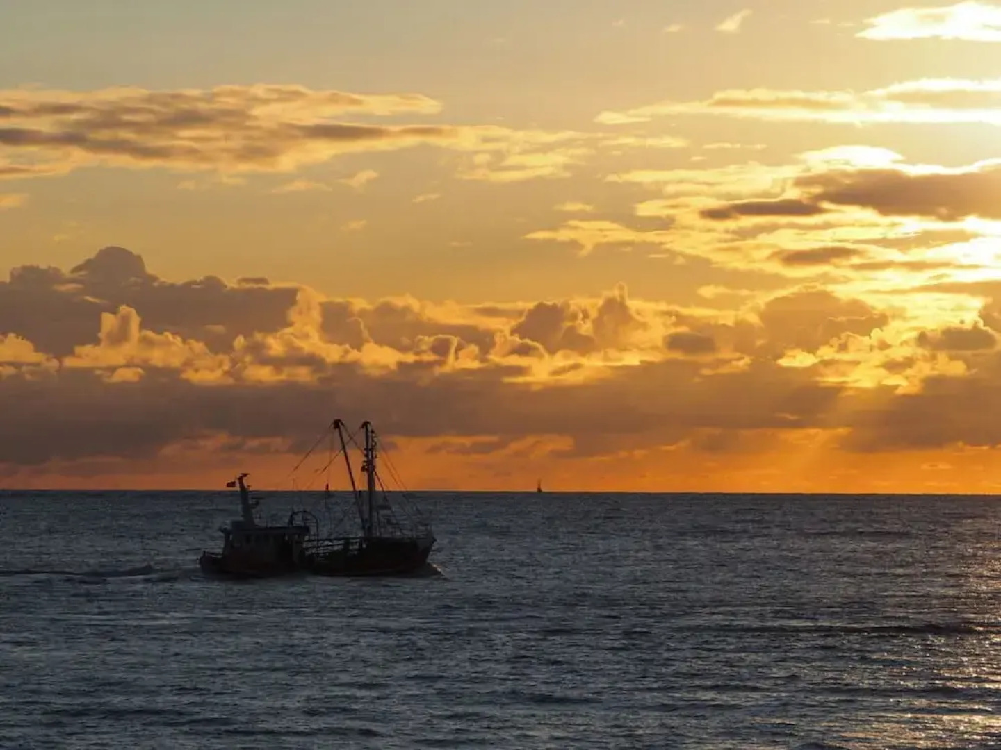 8 in het Huis Meerloft