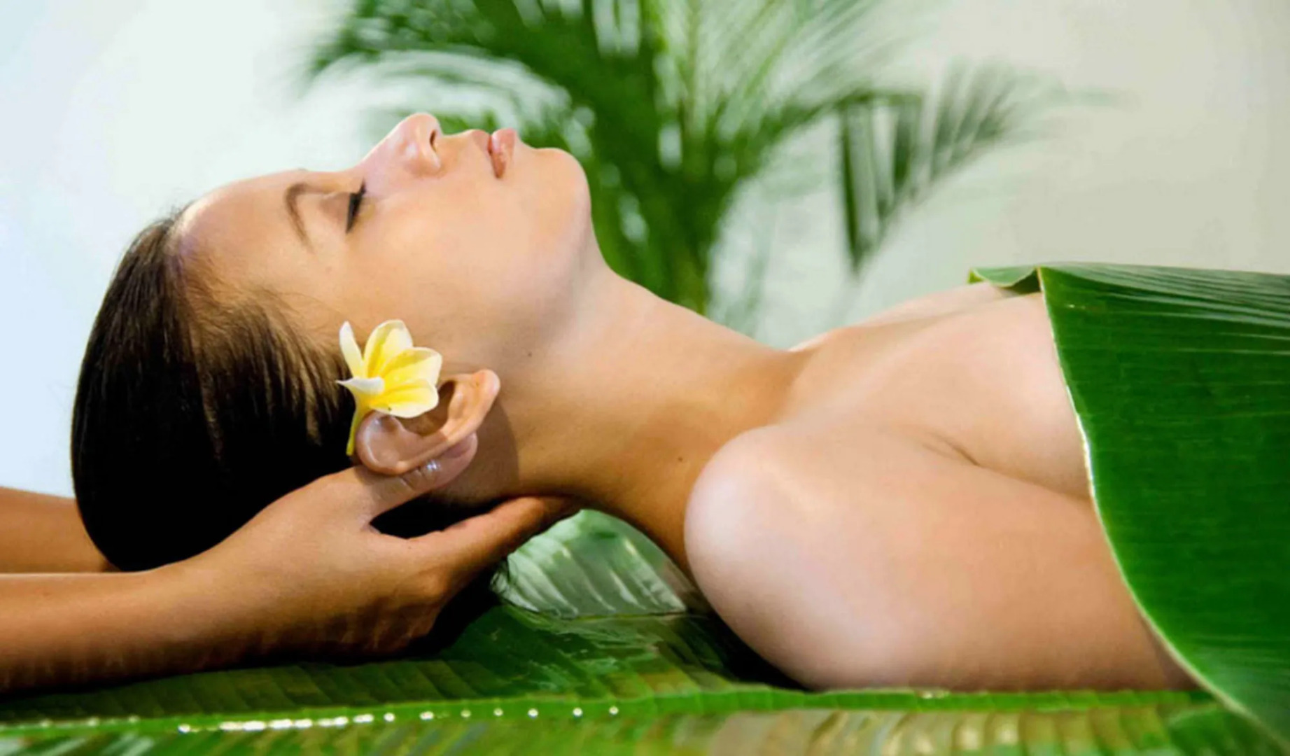 Aga Reef Resort and Spa