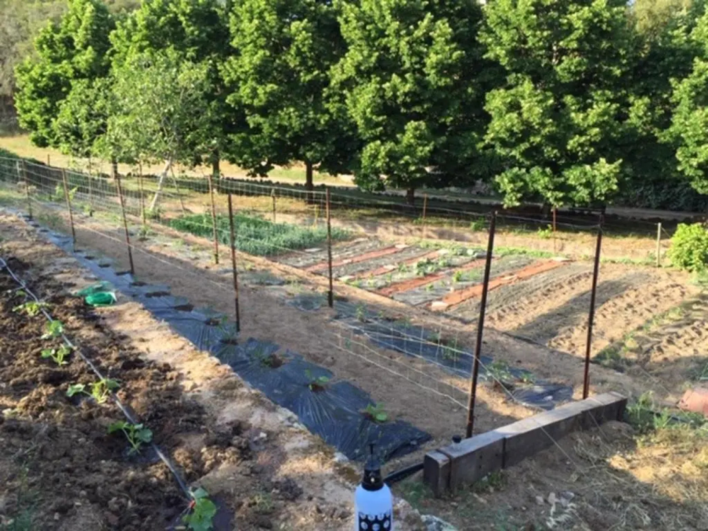Appartement de 2 chambres avec jardin amenage et wifi a Moltifao