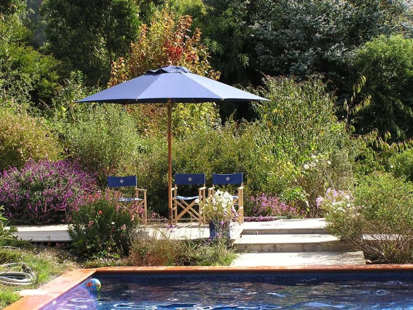 Lemonade Creek Cottages