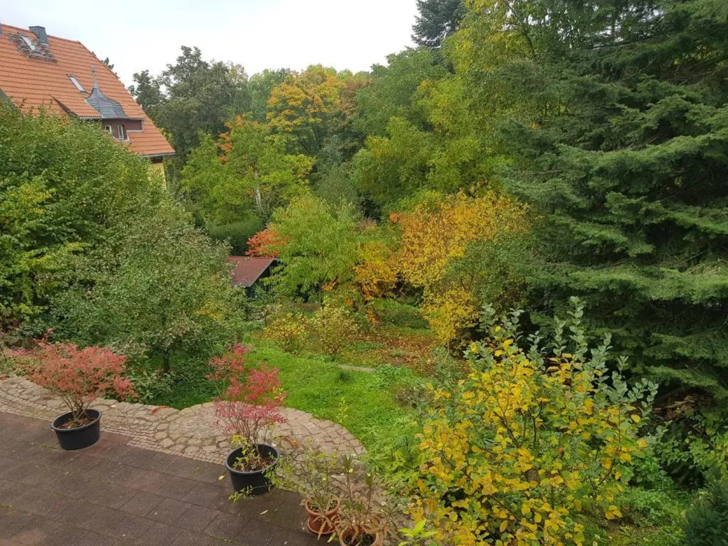 Bismarckhöhe Tharandt