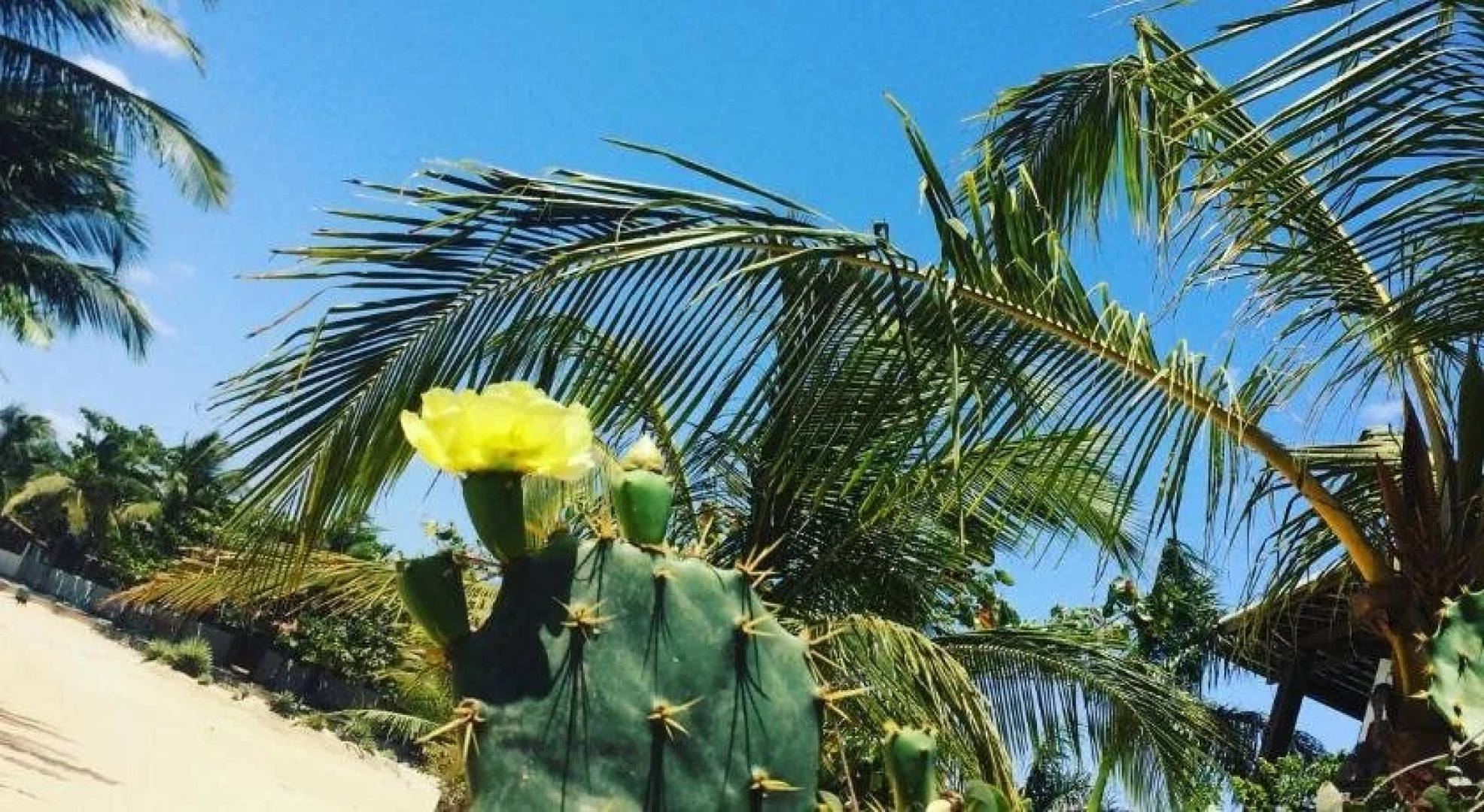 Hostel America do Sul