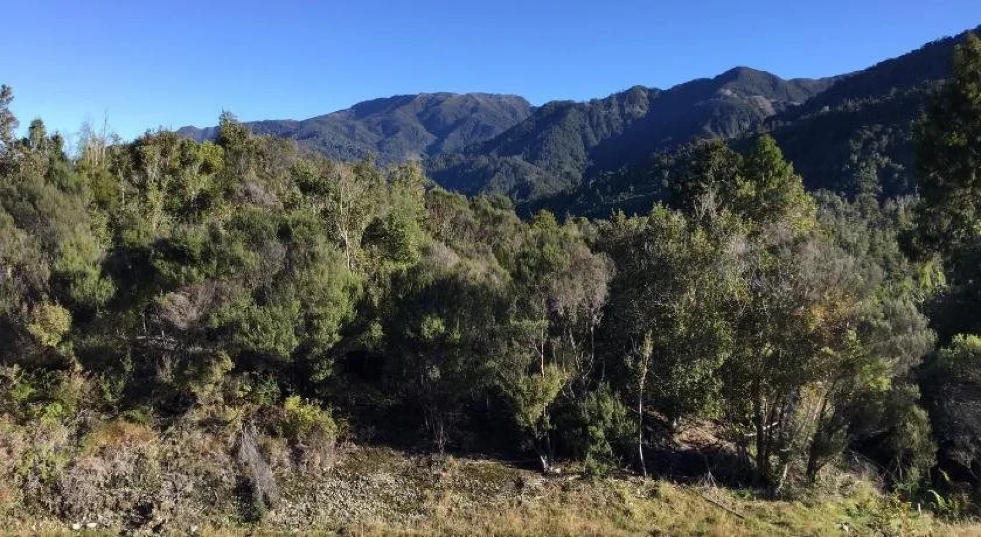 Brunnerton Lodge and Backpackers