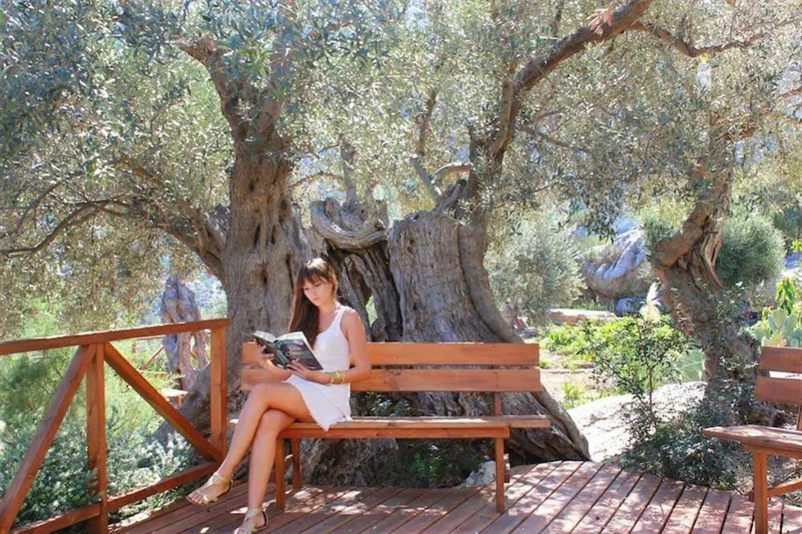 Sa Pedrissa Agroturismo – Adults Only