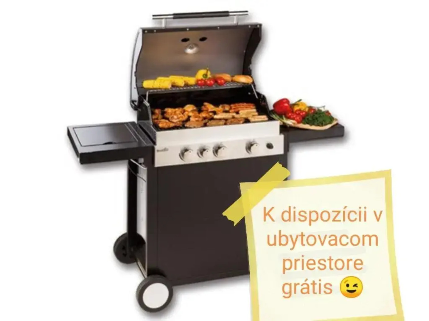 U Bažanta *** - Ubytovanie v súkromí (objekt)