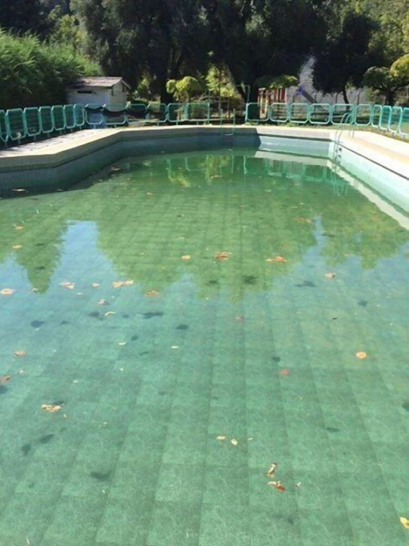 Bosque Los Lleuques Cabaña & Spa