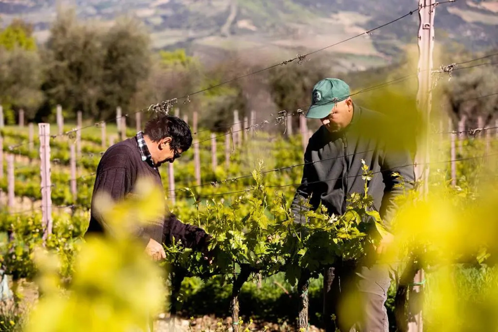 Vitabella Palazzetto