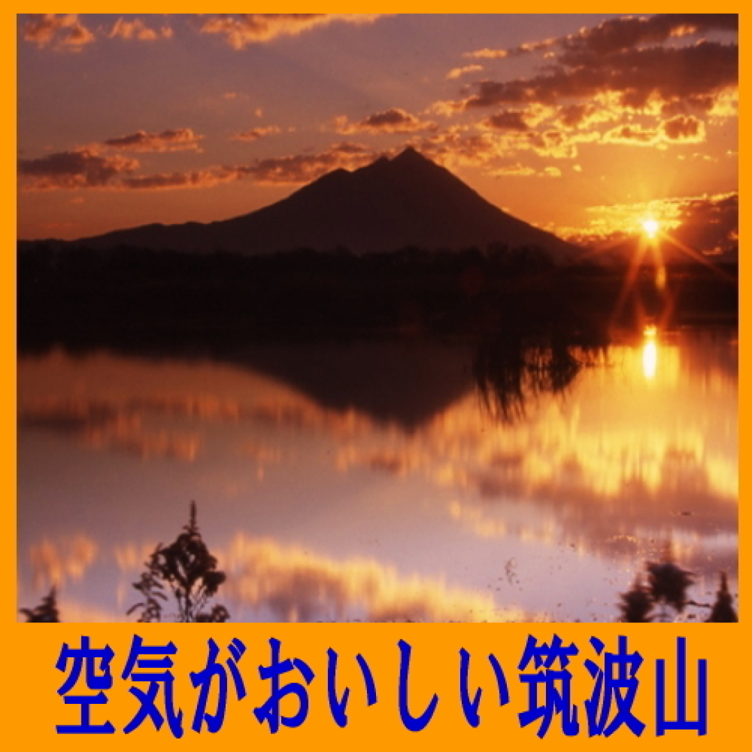 Business Hotel Tokiwa (Ibaraki)