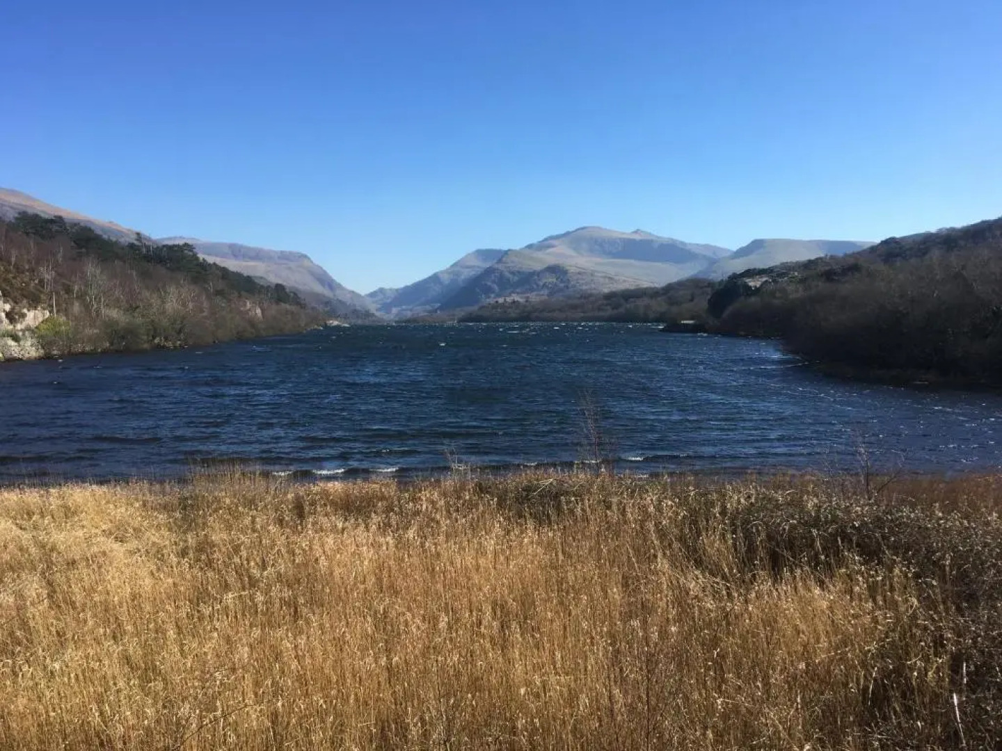 Llanberis Lodges